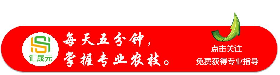 草甘膦配什么药剂才能够一次性防除茅草，使根部彻底腐烂？