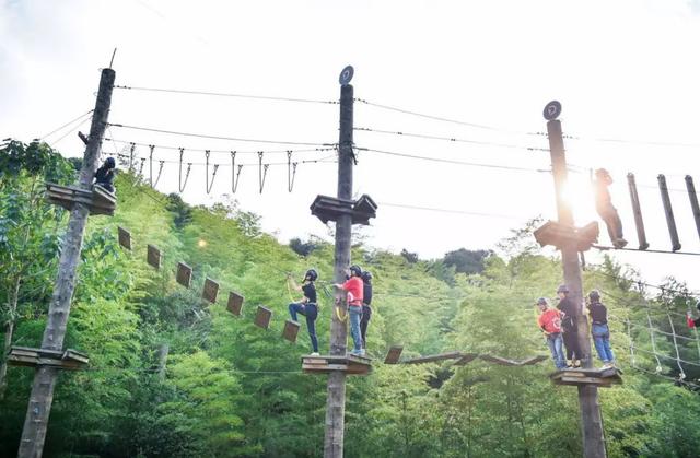 三圣乡适合团建的地方