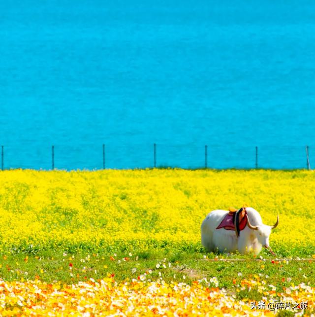 10月旅游的最佳地方（10月最佳旅行地推荐）