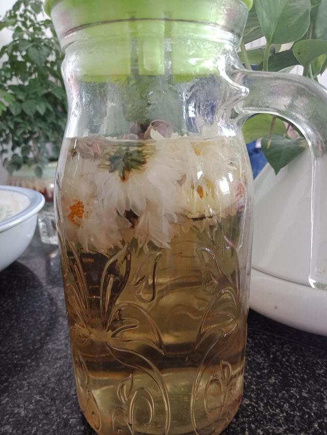 菊花茶图片