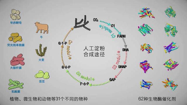 二氧化碳用途