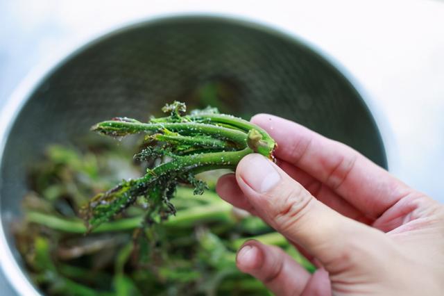 香椿芽怎么腌制好吃 香椿芽怎么腌制好吃（香椿芽怎么腌好吃） 生活