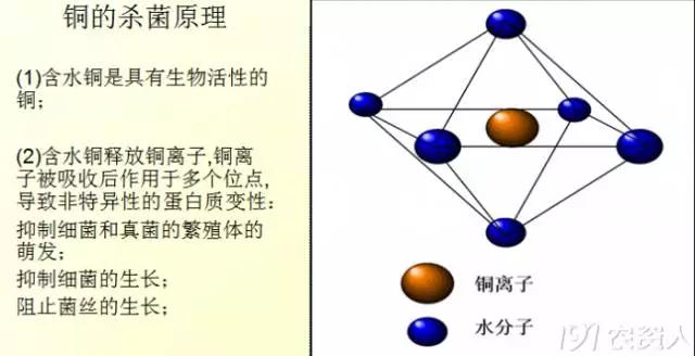 葡萄常用杀菌剂与选择，没有比这个分析更清楚的了12