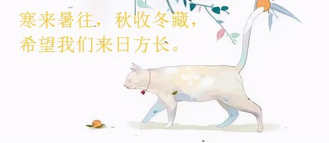 超级好看的沙雕穿书文（7本超甜沙雕穿书）(8)