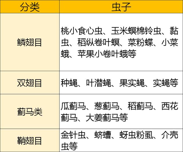 甲维盐杀不死虫？不，这样用效果翻几倍，杀虫真干净4