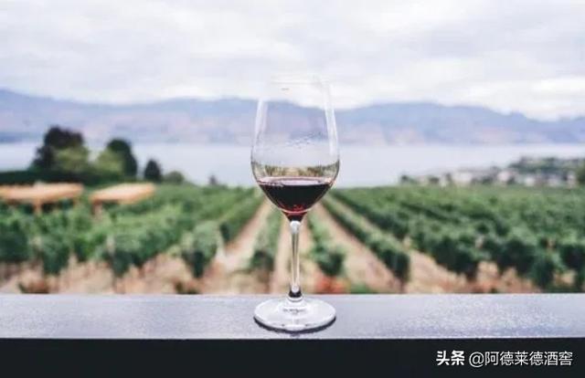 2021年全球新晋3位葡萄酒大师