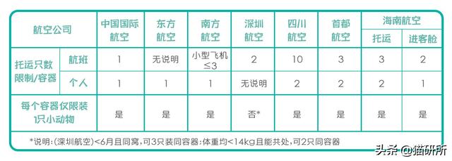 国内国际宠物托运公司