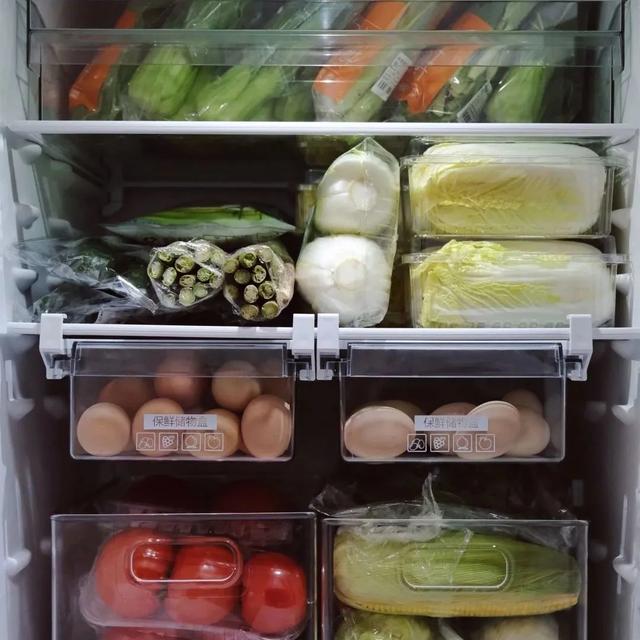 上班族带饭做对这4点：大大节省做饭时间，还能降低隔夜饭风险