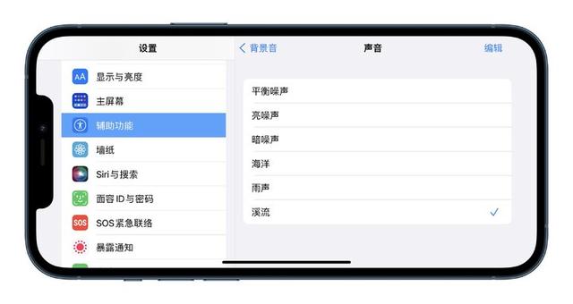 iPhone 上的辅助功能，可能是你遗忘的宝藏-第15张图片-9158手机教程网