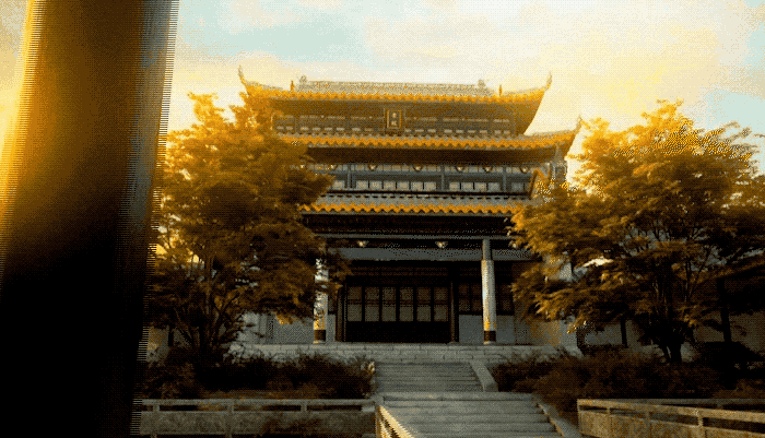 2019长沙药用机械展