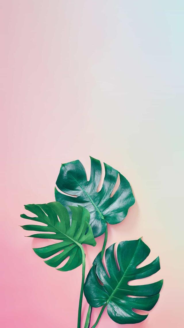 每个缺德的孩子，后面都有缺德父或缺德母或父母皆缺德而不自知