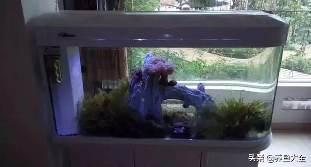一缸多过滤机