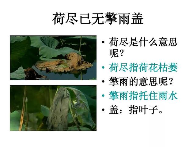 三年级上册语文古诗三首知识点（部编版三年级语文上册第4课古诗三首知识点）(43)