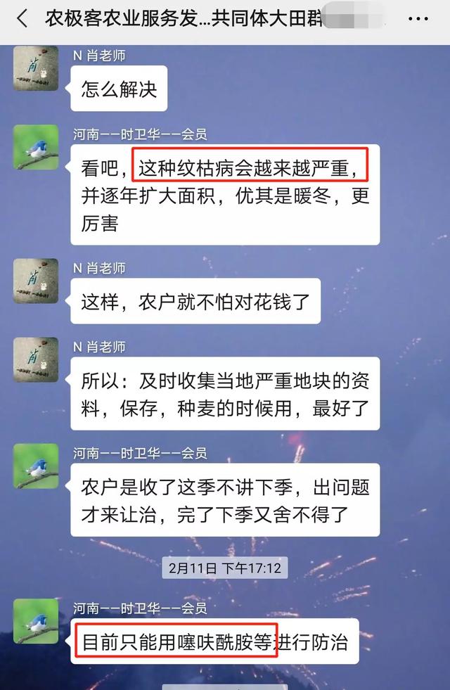 噻呋酰胺【持效期高又安全】，7大使用“关键点”必看！