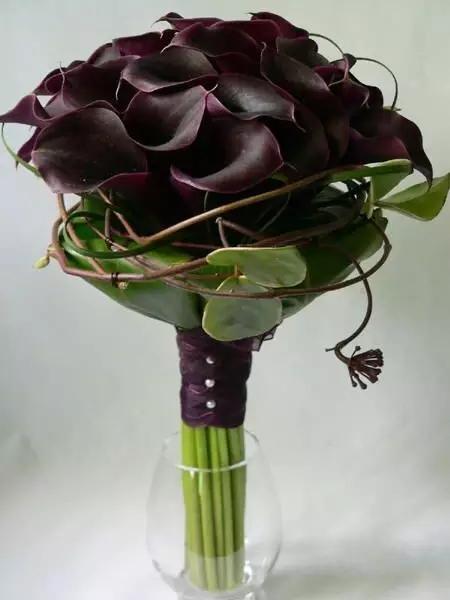 马蹄莲花语 马蹄莲花语（马蹄莲花语象征与寓意） 生活