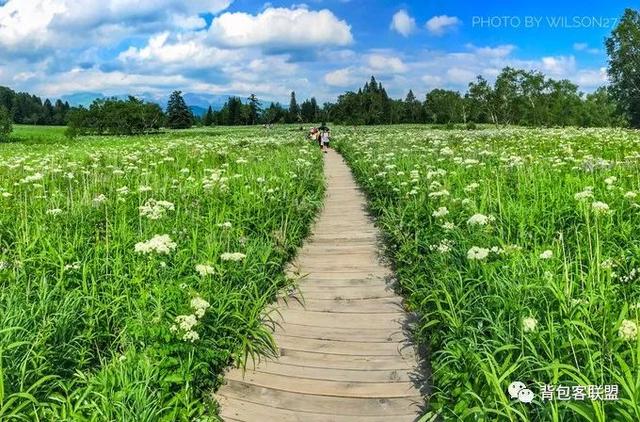 7月份适合去哪里旅游国内