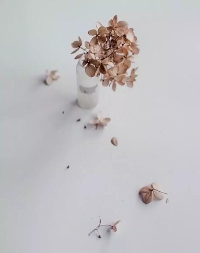 午安语录181111：别犹豫，别回头，别爱别人胜过爱自己