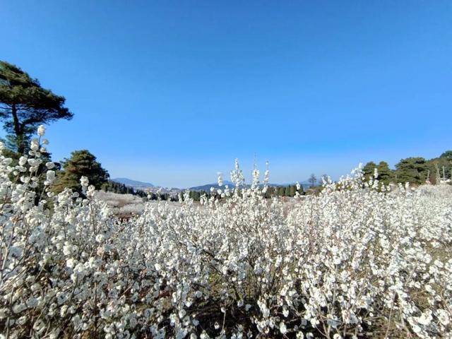 永德新型洗砂机厂商