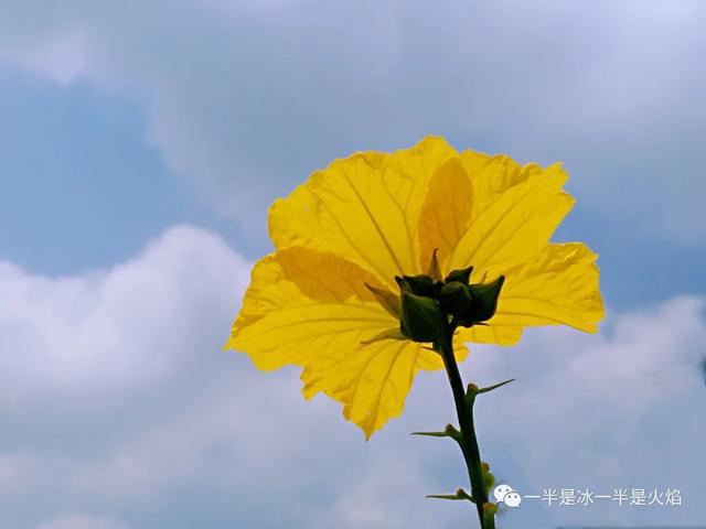 随笔：清秋寄语