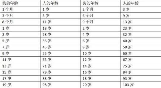 狗的寿命一般多长