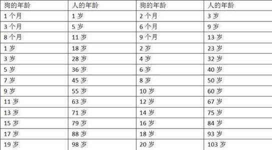 狗的寿命一般多长 狗的寿命一般多长（狼狗的寿命一般多长） 动物