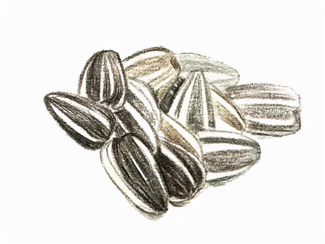 【健康】水果中蕴含的中医智慧：葵花子