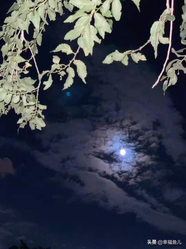 又是一年中秋时，天堂的妈妈，我真的很想很想您