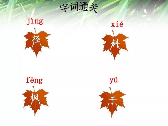三年级上册语文古诗三首知识点（部编版三年级语文上册第4课古诗三首知识点）(20)