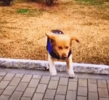 demo