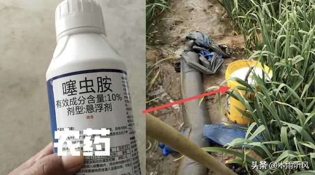 噻虫胺在防治地蛆中的应用，如何能达到更好的效果2