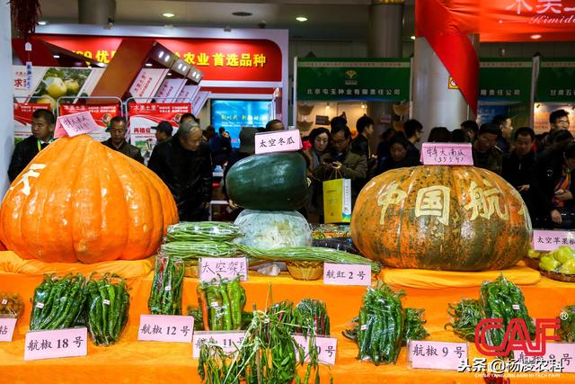 2018杨凌农高会果蔬机械展