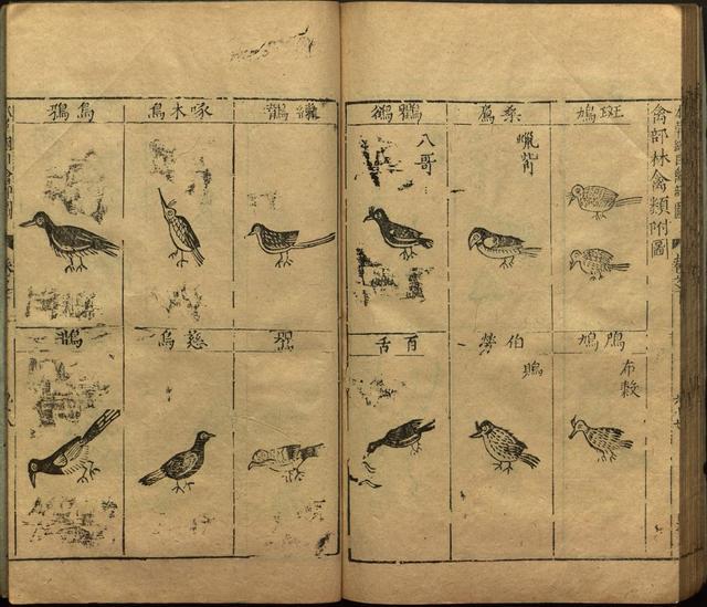 李时珍著《本草纲目》插图卷·下卷