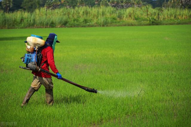 除草剂：怎么使用更安全高效？5点要做好，每一项都很关键