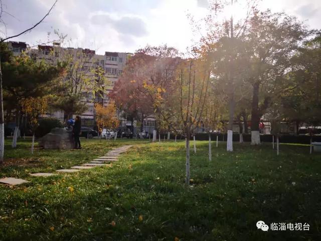 青州废水处理压滤机厂家