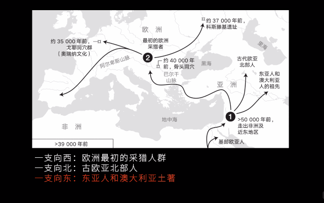 拉萨卧式过滤机