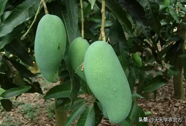 普洱单缸圆锥破碎机哪家价格便宜