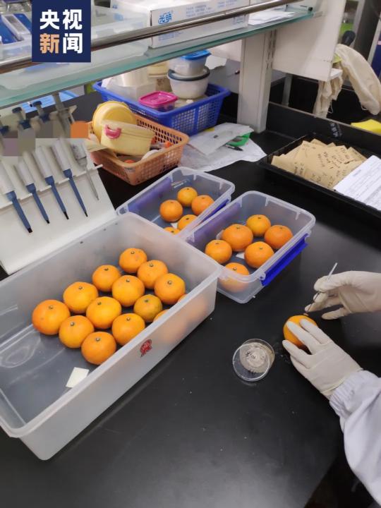 全网刷屏的浙大学生聊天记录，让人坚信，善良永远不会让人失望