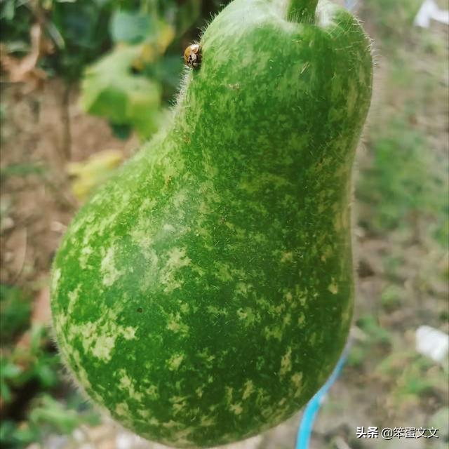 独处是自我的丰富（二）