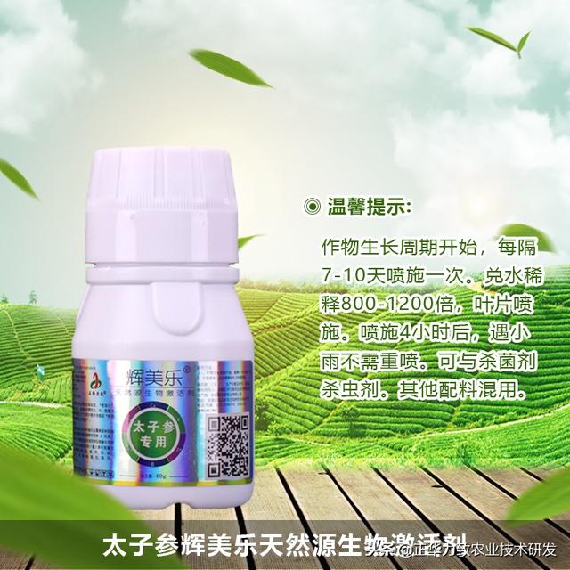 太子参苗后除草剂和**害虫特效药及增产增收特别推荐几款5