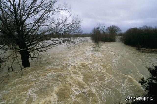 温阳利水第一方，汉代经方真武汤