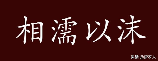 相濡以沫的真正意思相濡以沫不如相忘於江湖什麼意思