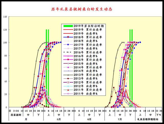 桃桑白蚧泛滥难防治，用物候现象预测法防治效果好7