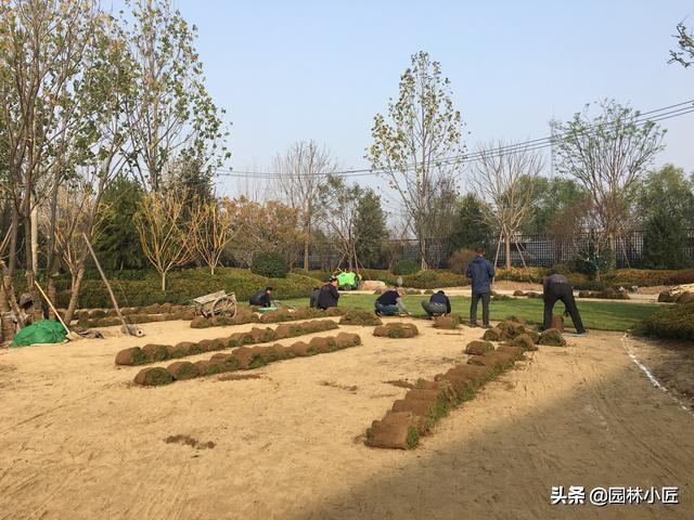 铺种草皮