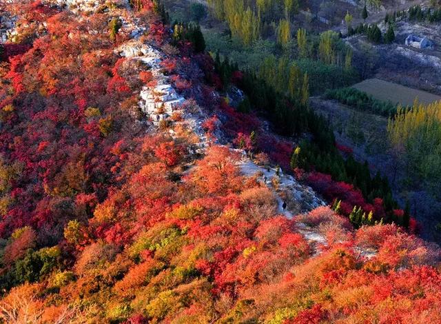 博山必去的旅遊景點_金秋十月,重陽登高~博山這些最美登高地別錯過!