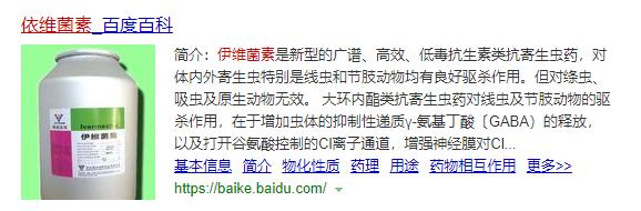 杨梅落果腐烂？当心果蝇爆发！这样用食诱剂、生物药剂，几天采收8