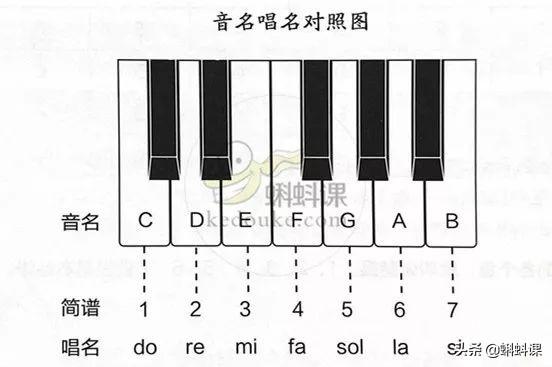 曲谱怎么看