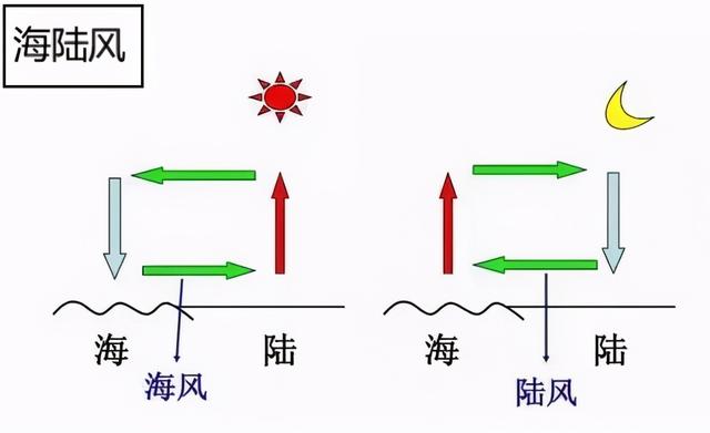 风向玫瑰图（风向玫瑰图查询）