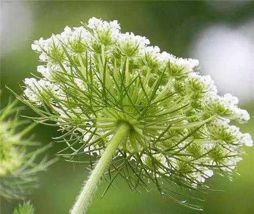 雨水节气黑板报内容摘选