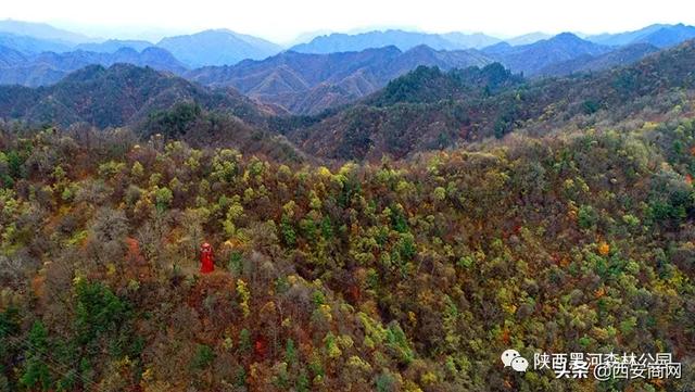 陕西黑河森林公园