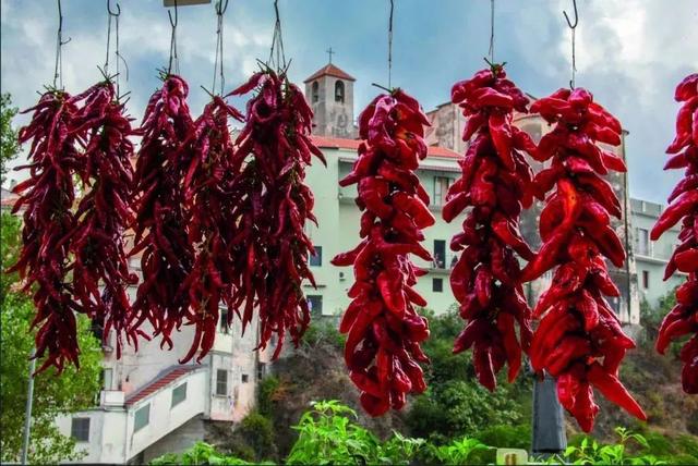 研究证实：吃辣椒非但不会伤胃，还有可能降低患癌风险，是这样吗